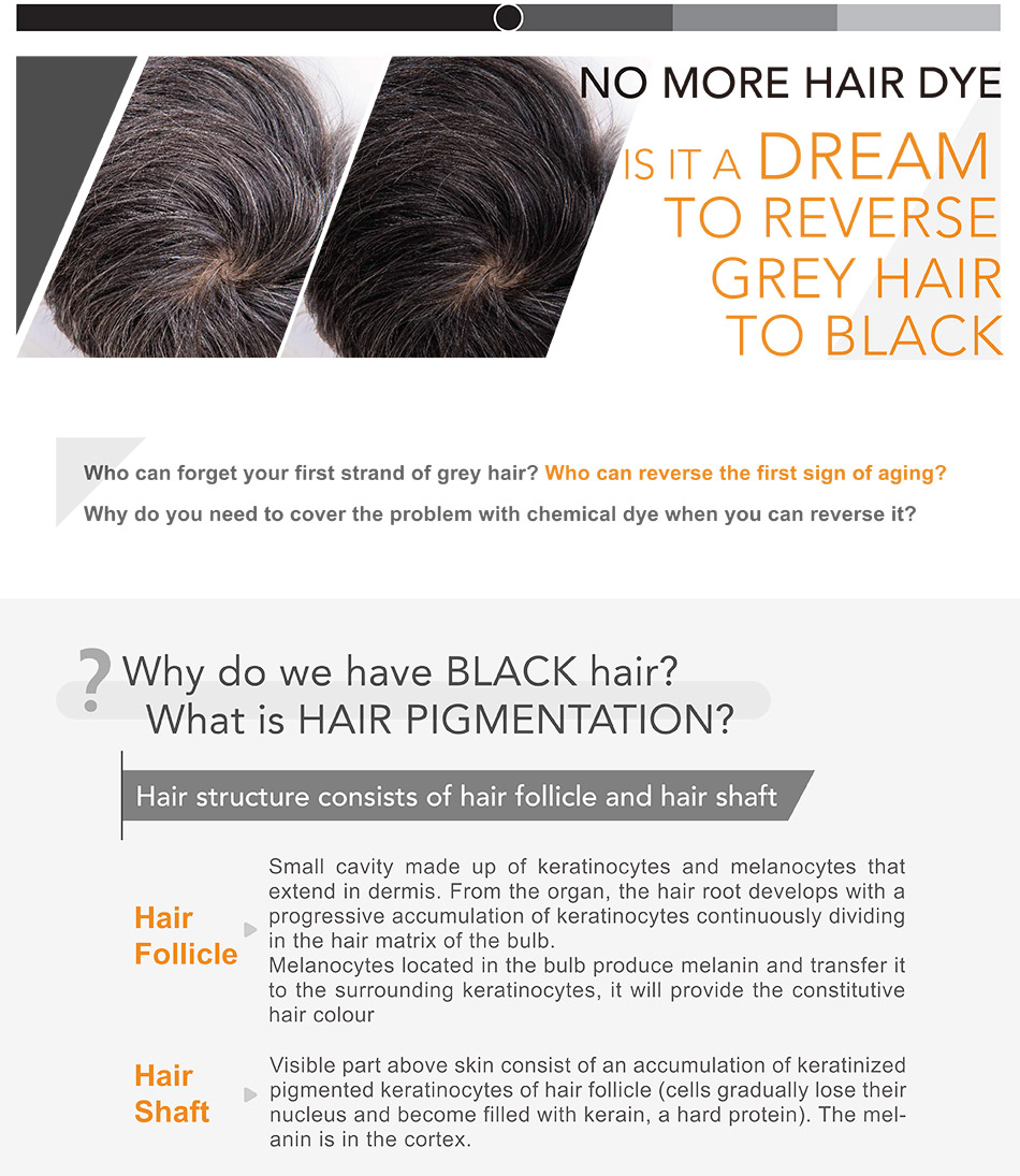 Is it a Dream to Reverse Grey Hair to Black - Trichoderm Black Series