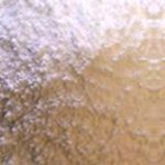 argan-slide-5